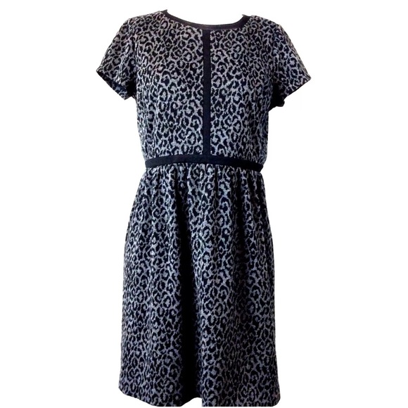 LOFT Dresses & Skirts - *LAST CHANCE* Loft Leopard Animal Print Dress Zip